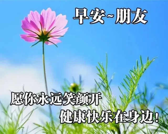 早安心语，正能量走心语录句子很好看的早上好图片图片