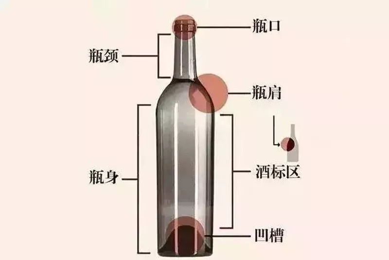 了解关于葡萄酒瓶的信息