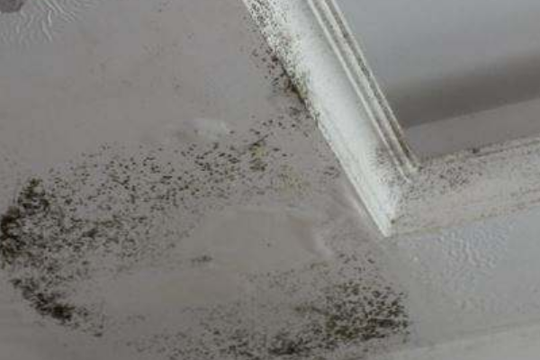 科普 ┃ 厨房卫生间吊顶，你真的会挑材料吗？┃ 南京装修