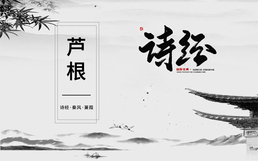从《诗经》里走出来的中药——芦根