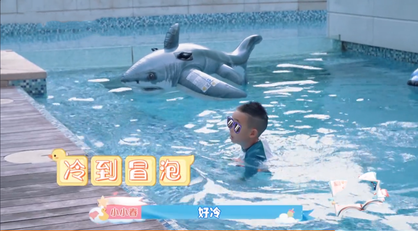 陳小春應采兒夫婦教育統一，小小春游泳冷到冒泡被要求陸地禁止