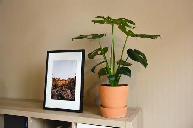 冬季乾燥容易起靜電？ 不想再被電，教你4個小妙招，趕走乾燥