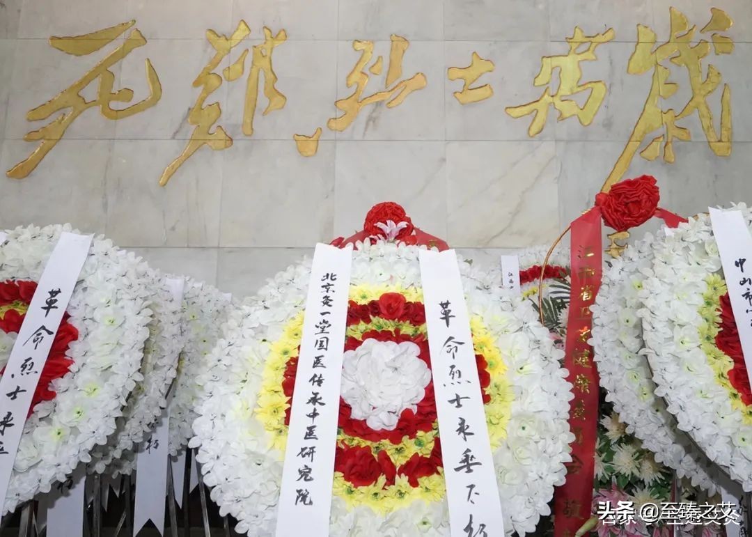 艾在井岡·灸火燎原——首屆圣透灸療法大會順利召開