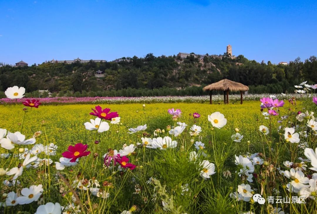 塞上榆林青云山掠影（多图）