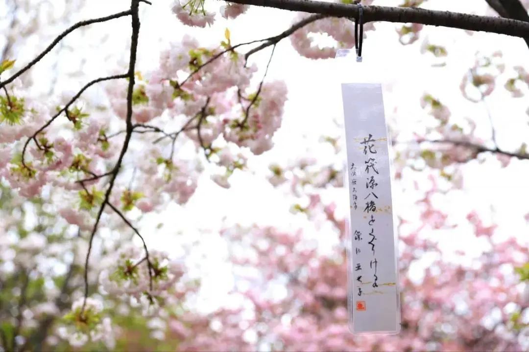 日本俳句中的季語 浪漫到極致 Mp頭條