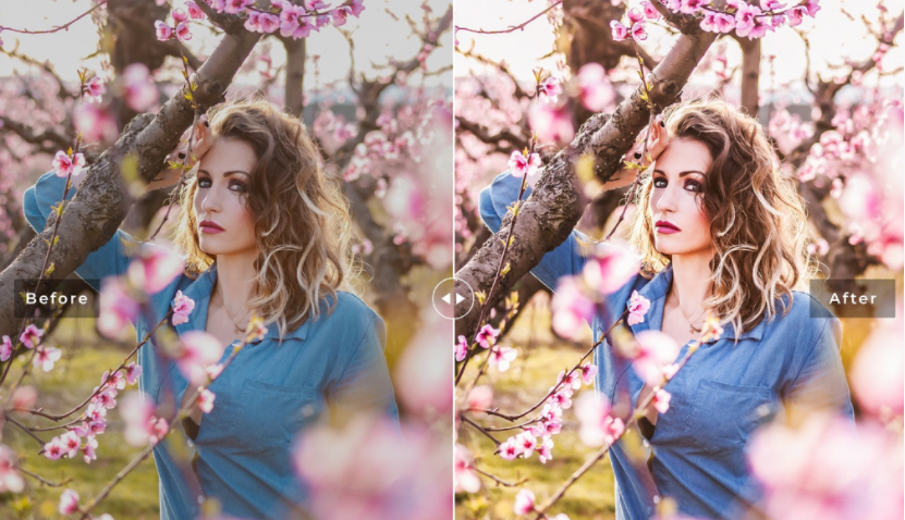 2020高级预设：外拍杜鹃花海人像LR预设+移动LR预