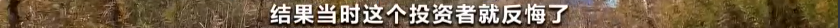 央视调查：那些“烂尾”的集成电路项目到底怎么了？