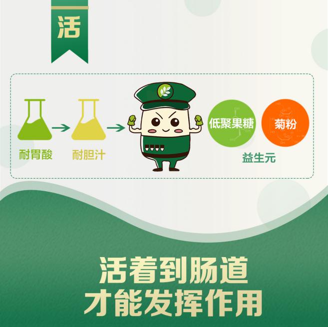 一张图就告诉你益生菌对你身体的重要性