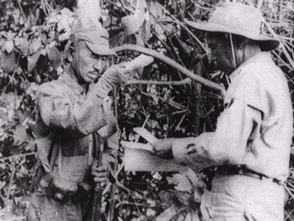 可恶的最后一个投降的日本兵，打了30年的游击战