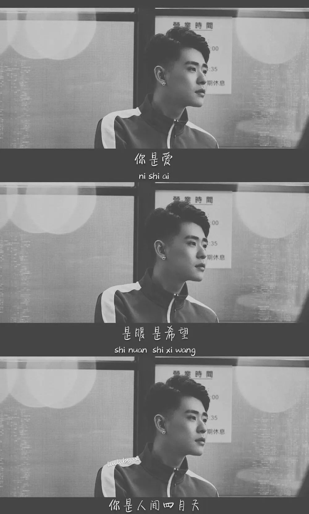 Wallpaper comes to Zhang Yunlei