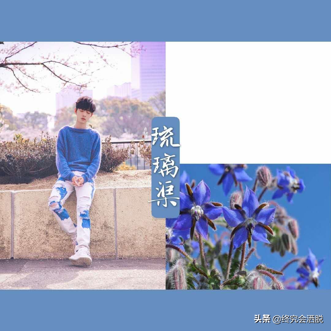 当肖战的装扮遇上不同种类的花，呈现的画面如此和谐，一人千面