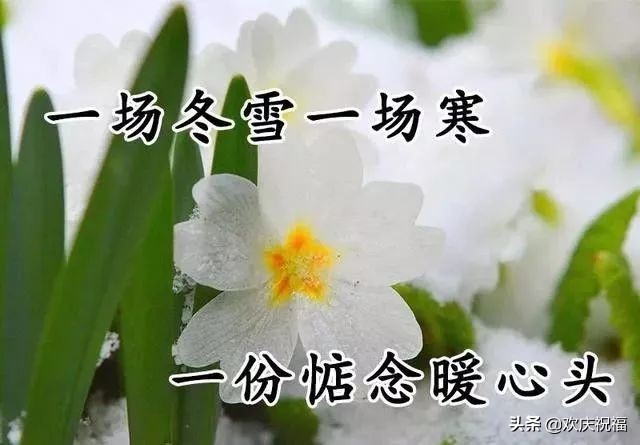 2019年大雪节气最暖心的问候祝福语短信，大雪最美的祝福文字图片