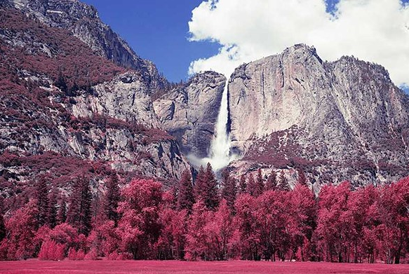 VSCO滤镜模式重现红外摄影