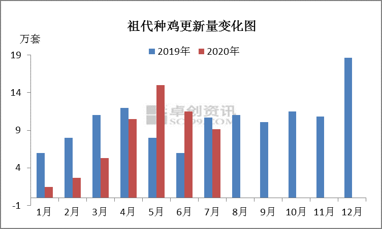 全国鸡肉价格下降上热搜！种鸡引种节奏放慢 后期会成恶循环吗？