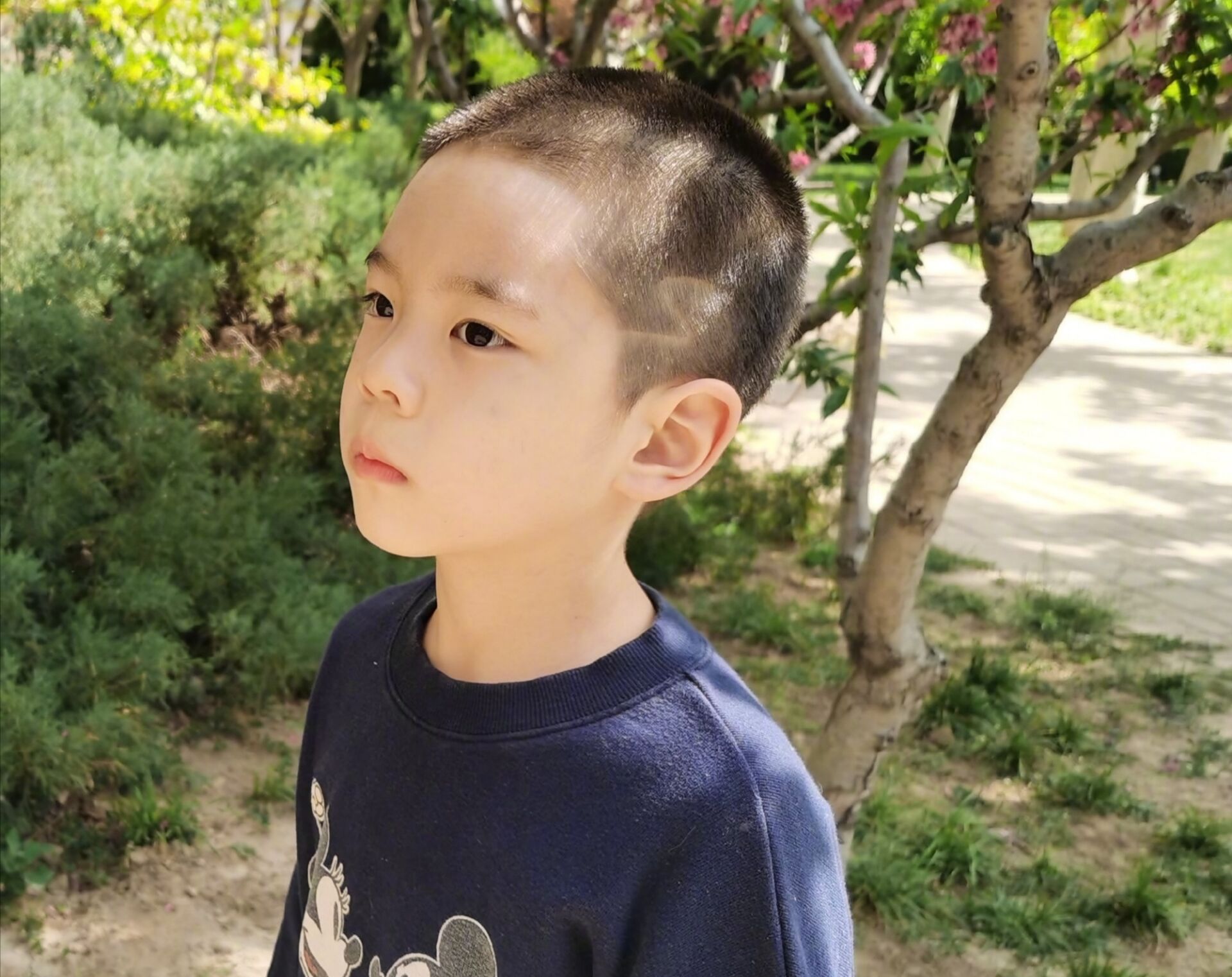 吃著百科全書長大的嗯哼，知識量驚呆杜江，科學啟蒙教育越早越好