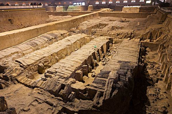 河北村民猪圈神秘丢猪，无奈只好报警，专家赶