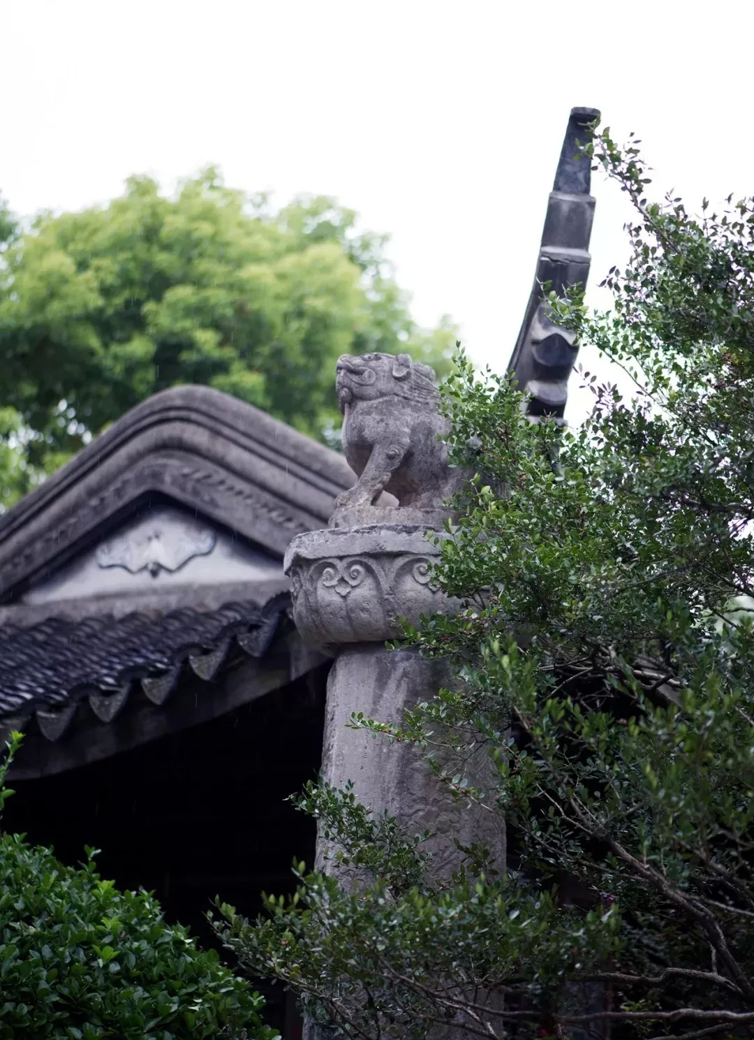 园林，最高的生活美学丨私享艺术