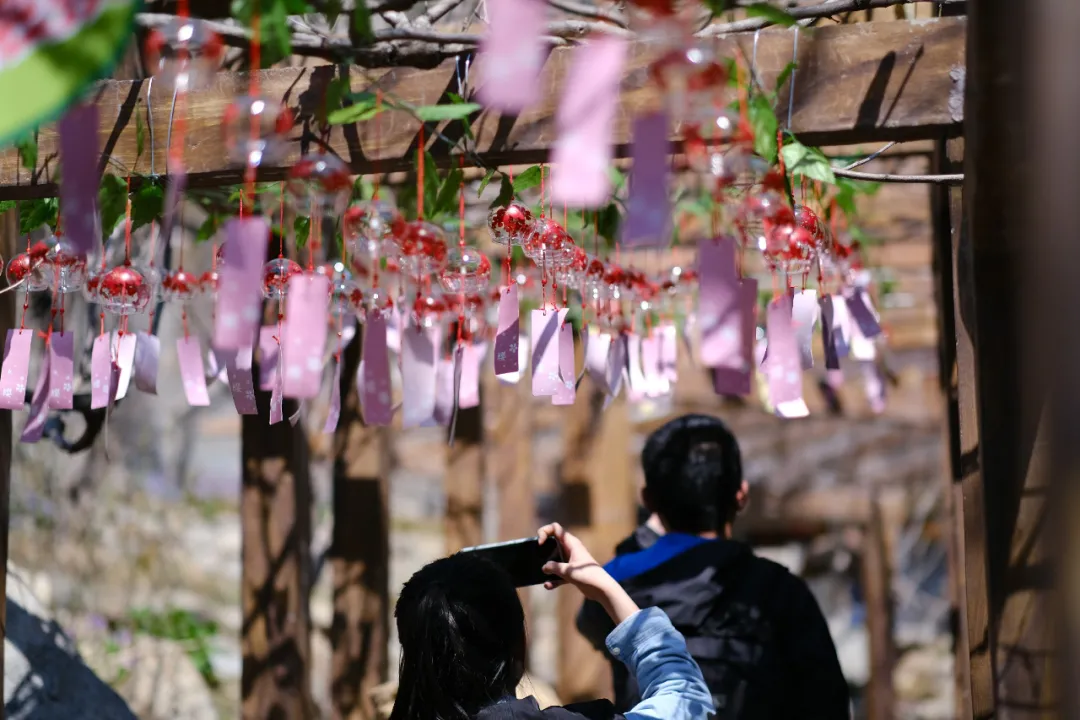 所有游客免门票！免费送风铃！农历三月三天蒙山开山节邀您听春音、赏花海、祈好运！