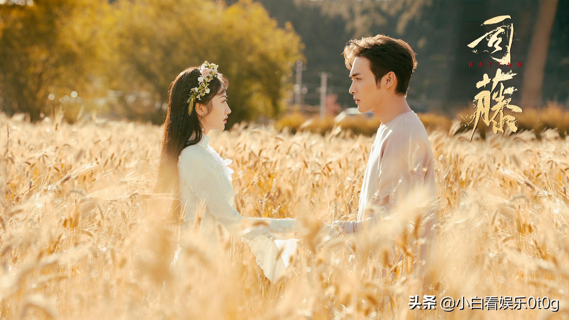 Jing Tian Zhang Binbin acts the leading role " Si Teng " , department cane Qin Fang does not have kin, is Qin Fang's identity? 