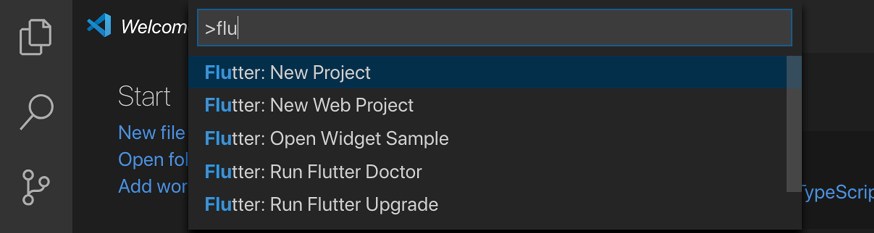 使用 Flutter 开发简单的 Web 应用