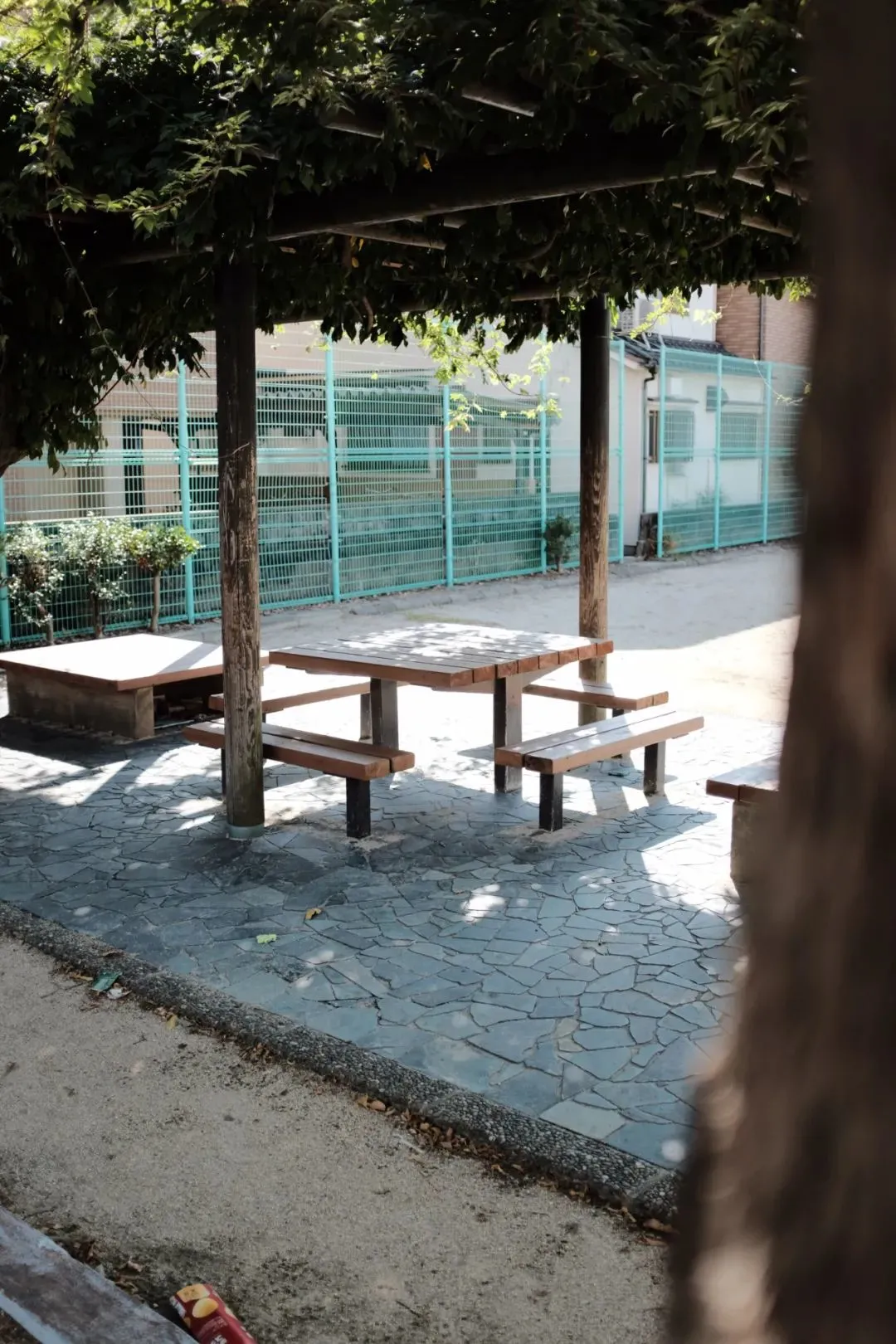 摄影是一门用“光”的艺术,就看你会不会用了