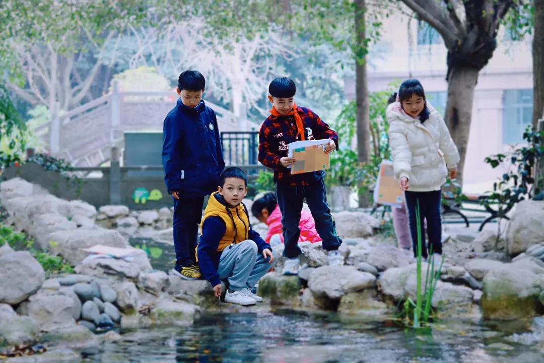 带上五官到校园里寻找春天——成都市华中附小大自然的语文课