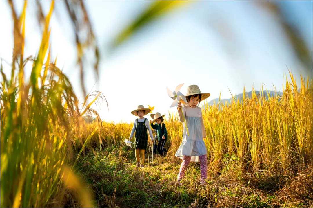 朱冰堯：重啟旅游，關(guān)鍵在于空間變現(xiàn)能力 | 怡境觀點(diǎn)