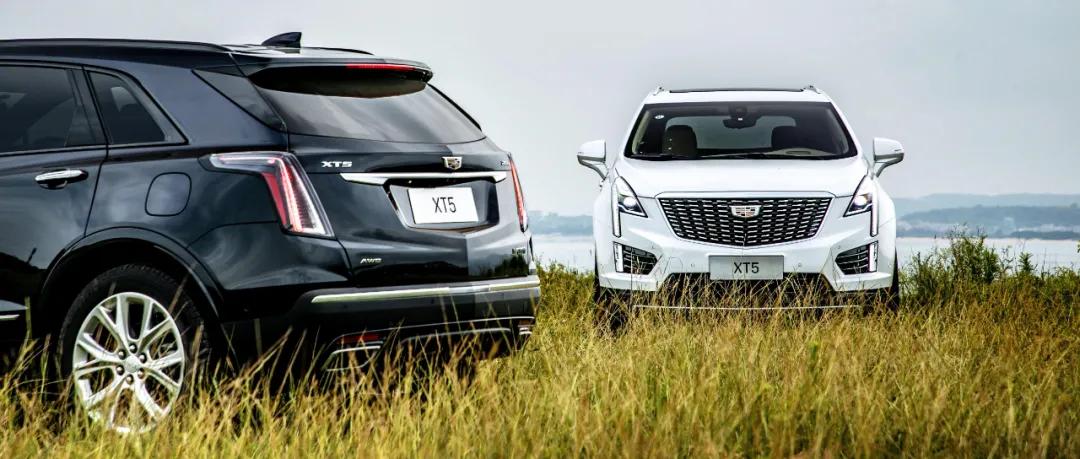 凯迪拉克2020年销量创新高，长城汽车注册哈弗单身狗商标