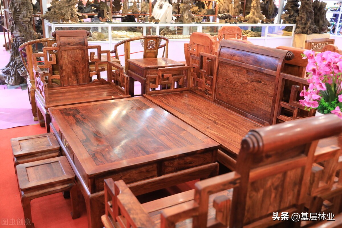 花榈木与黄花梨木同样珍贵 而且能在黄花梨木不能生长的地方种植 资讯咖