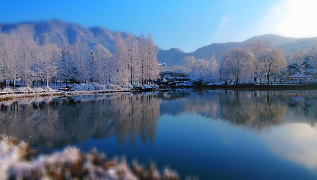 北京豪宅罕见变卖，西山壹号院降价2000万要出手吗？