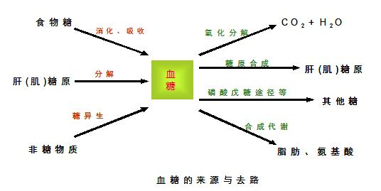 擔心低血糖發作？ 口袋備點這些食物，幫你輕鬆應對