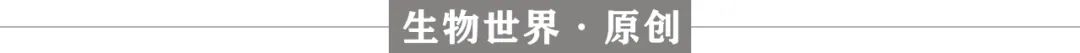 夜间工作致癌的原因被发现：熬夜会增加DNA损伤，降低修复效率
