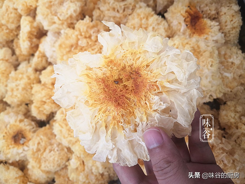 秋天吃银耳，银耳买黄的还是白的好？教你正确方法，简单实用