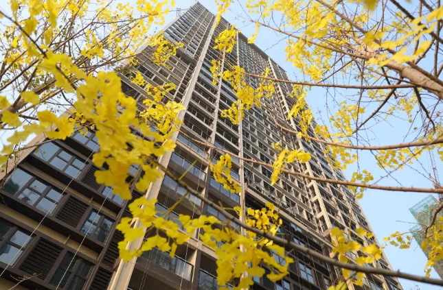 河西业主疯狂涌入，"房票"紧张，纷纷瞄准125㎡户型