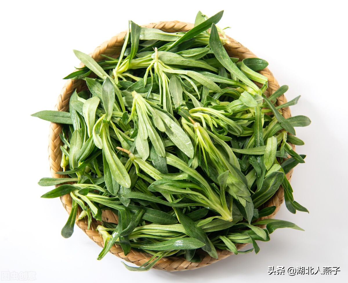 67种野菜图片大全 教你认识不同的野菜和吃法 你想要的野菜都有 资讯咖