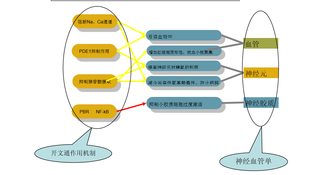 科普：植物提取的长春西汀，或可改善卒中后，从生存&ldquo;通&rdquo;向生活