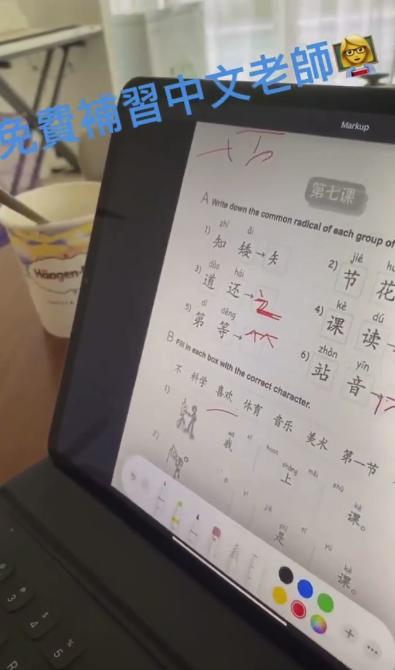 张柏芝二儿子罕曝光，侧脸不输谢霆锋，学简体字欲和爸妈来内地？