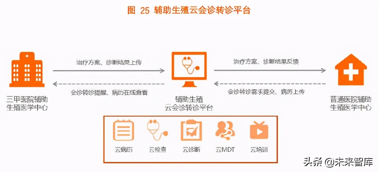 2021辅助生殖行业研究报告