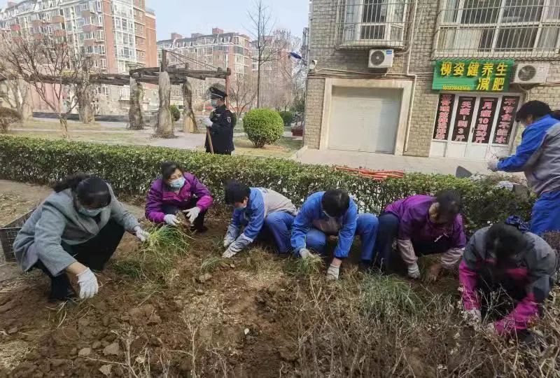 「泰华生活服务·植树节」让我们一起行动起来