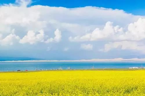 Check out the most worthwhile routes in China for self-driving, and enjoy the scenery of the motherland’s highways