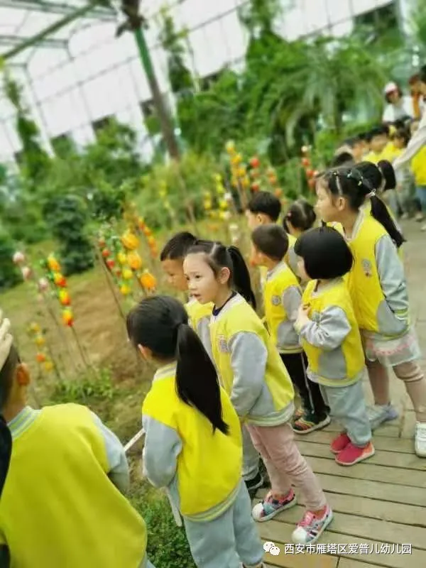 ����عˡ����ն��׶�԰�а�����ѧ��ʵ�߽���δ��