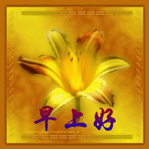 每天一句简单的问候语 早上好祝福短句子图片