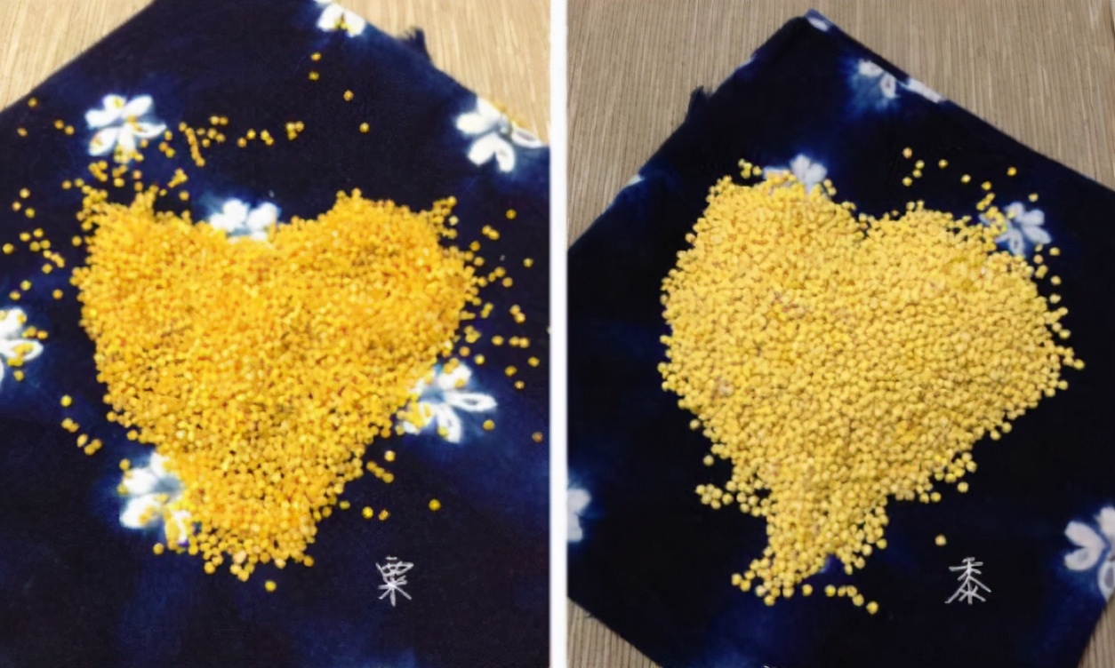图片[3]-小米是黄米吗 有什么在区别-起舞食谱网