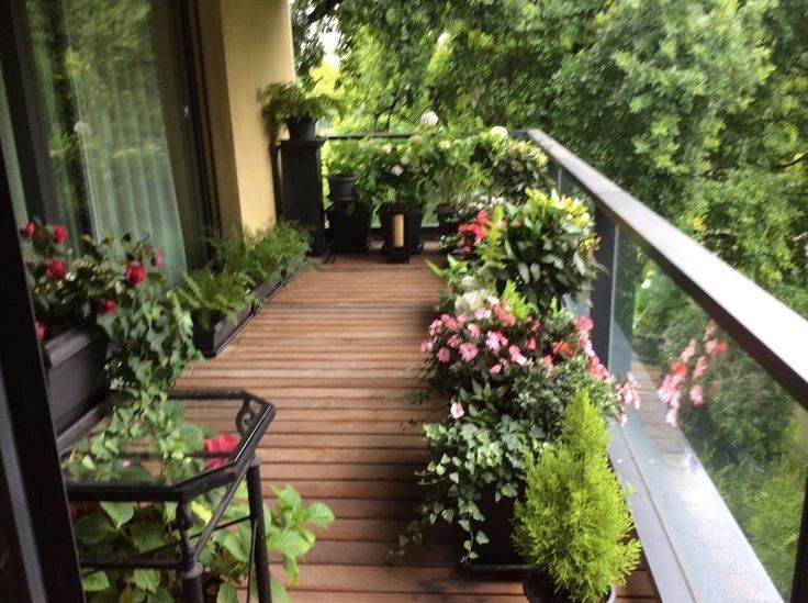 绿化——这样做,让你在家里阳台就能拥有私家花园 - 深圳市绿雅坊景观