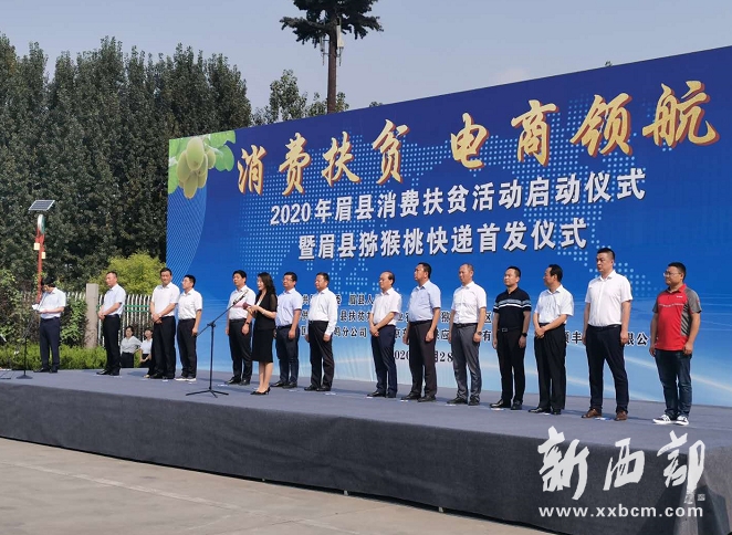 ����ü��2020�����ѷ�ƶ����� ��������⨺�������ȫ��