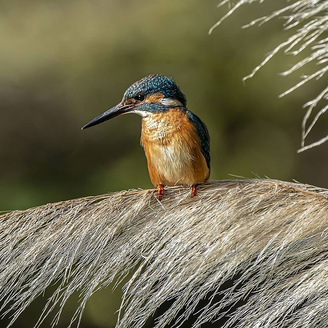 独处，是赴一场和自己的约会