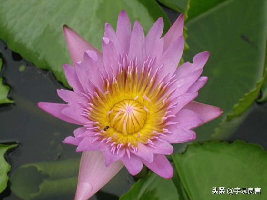 觉得很赞的句子，走心励志，值得珍藏-第3张图片-非凡网