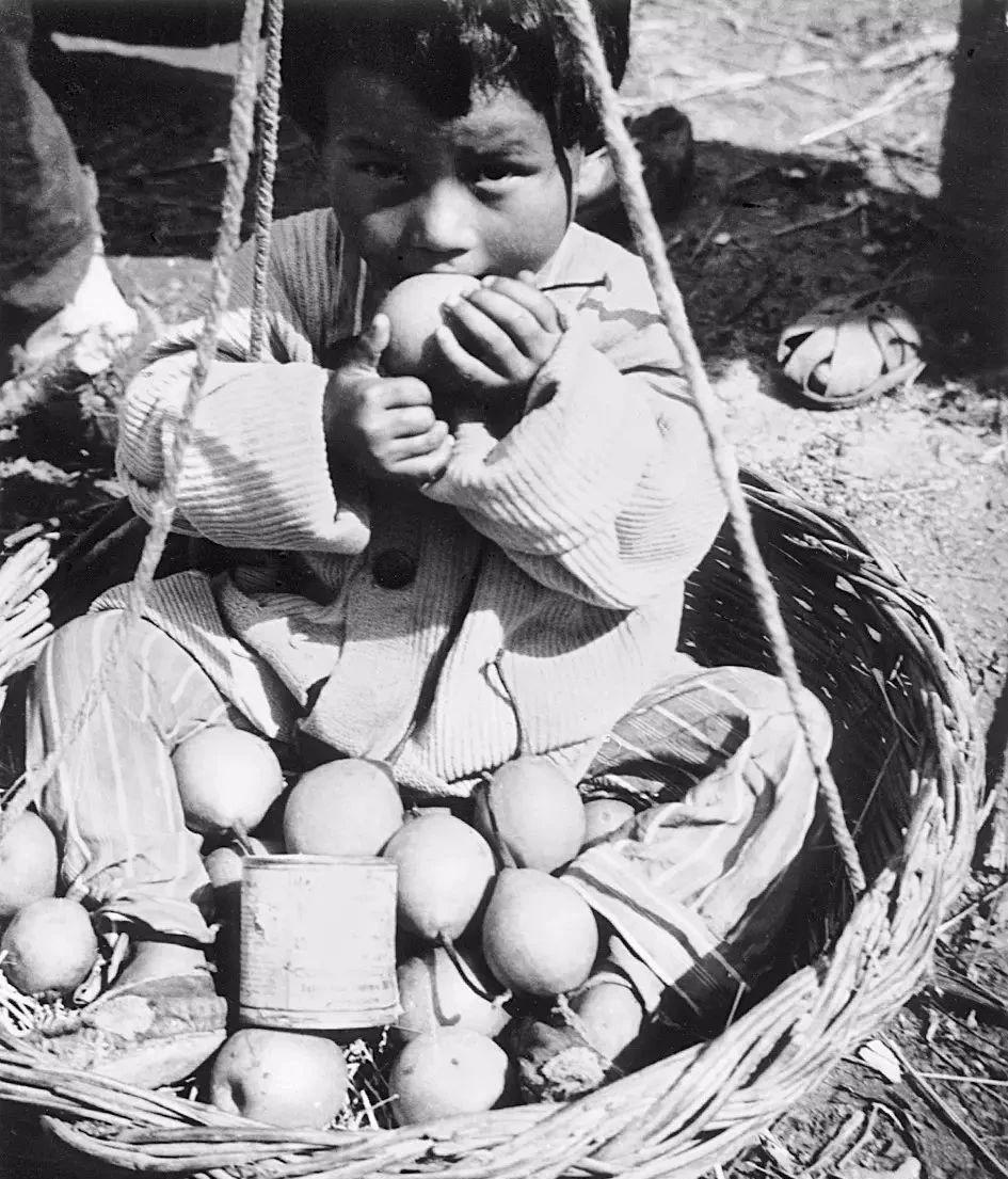 1980年，聂荣臻接见一47岁日本妇女，为何妇女下跪喊“父亲”？