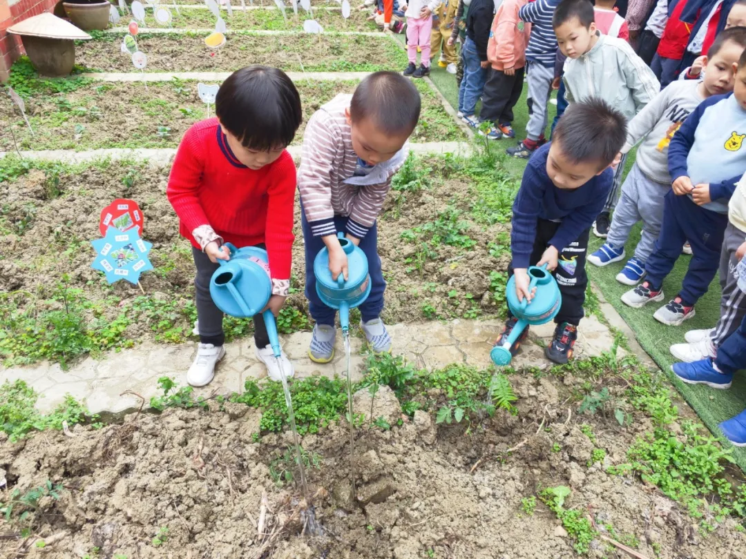拥抱春天——四川天府新区华阳幼儿园小四班主题活动