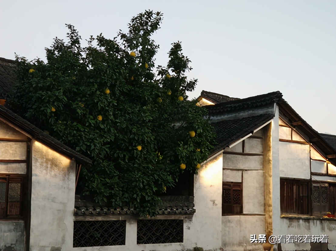A day trip to Wuzhen and Xinshi ancient towns